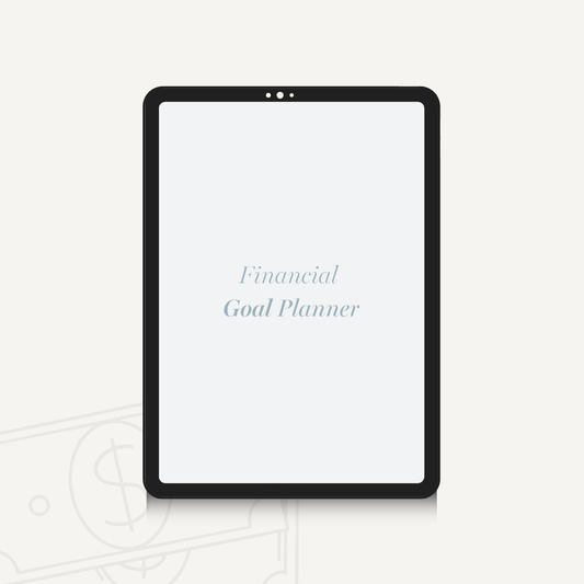 2026 2027 Financial Goal Planner and Monthly Budget Spreadsheet, Digital Wealth Tracker with Self Care Intentions, Minimalist Money Journal