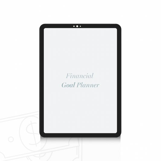 2026-2027 Financial Goal Planner and Monthly Budget Spreadsheet, Digital Wealth Tracker with Self Care Intentions, Minimalist Money Journal