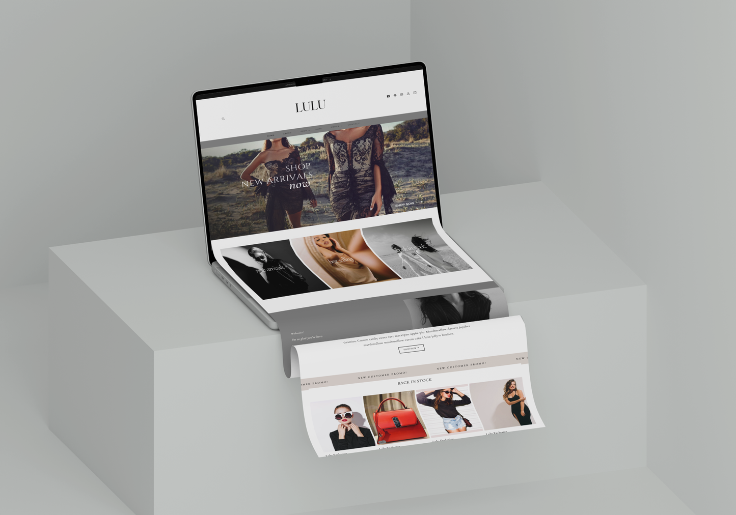 Lulu | Editorial Shopify Website Template