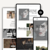 Seene Squarespace Template