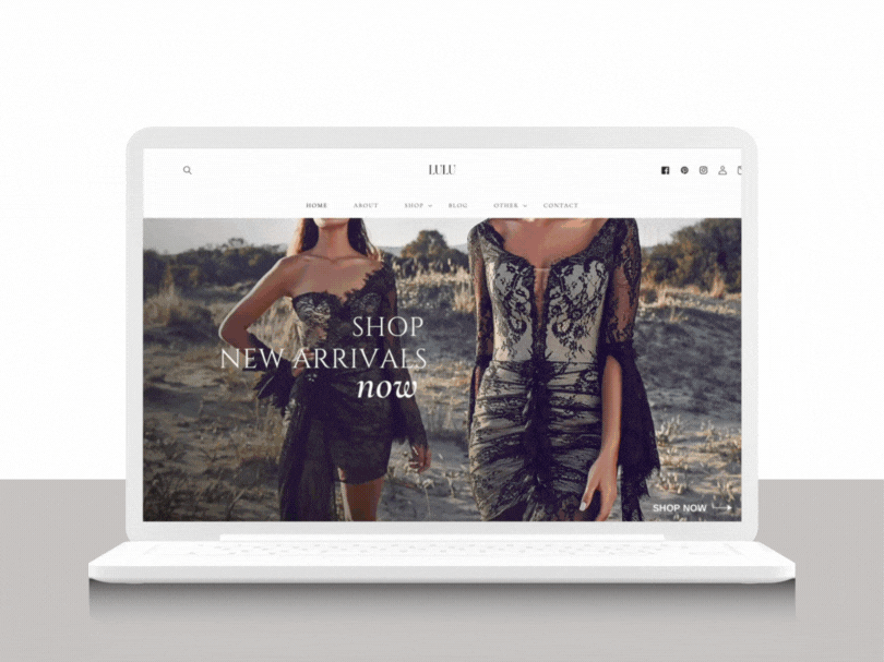 Lulu | Editorial Shopify Website Template