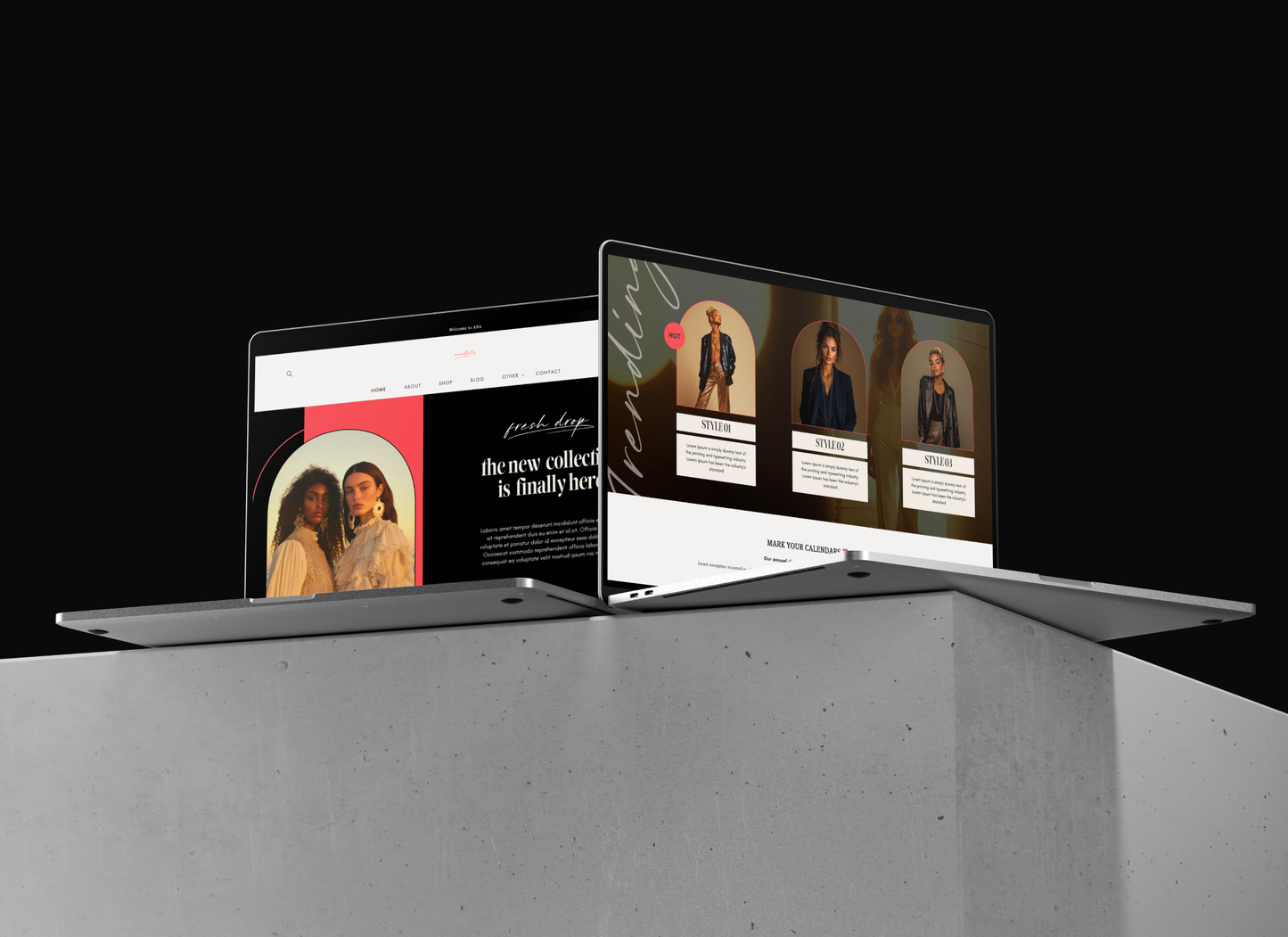 Ana Shopify Template