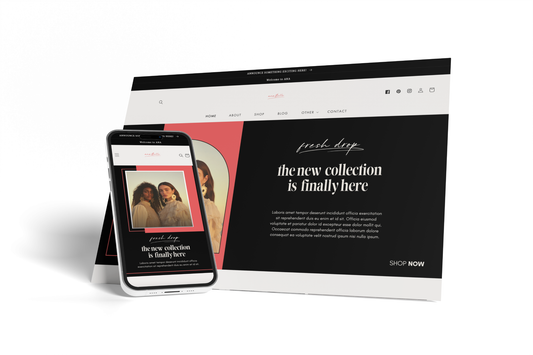 Ana Shopify Template